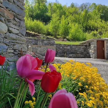 Orobie Apartment Albosaggia