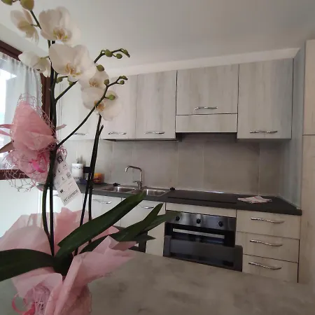 Orobie Apartment Albosaggia